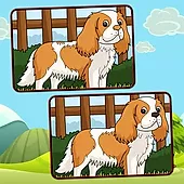 Dogs Spot The Differences